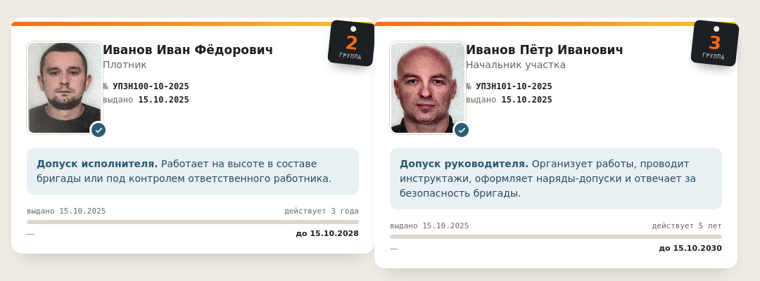 Две карточки допуска к работам на высоте: работник со 2 группой и сроком действия 3 года и руководитель с 3 группой и сроком действия 5 лет